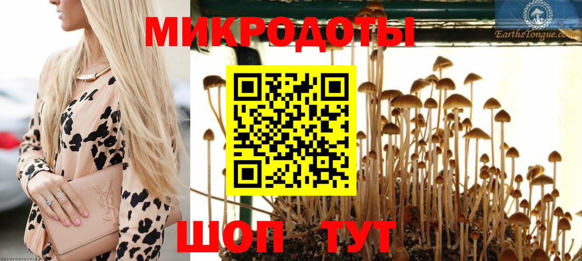 Галлюциногенные грибы ЛСД  Вход с VPN  как найти закладки  Псилоцибиновые грибы мицелий  Череповец 