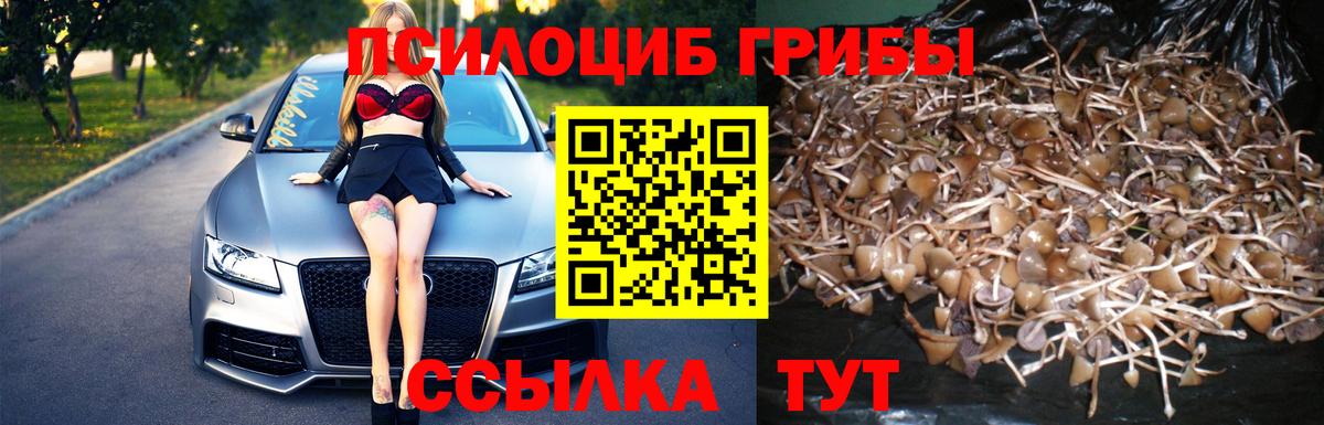 Галлюциногенные грибы ЛСД Череповец
